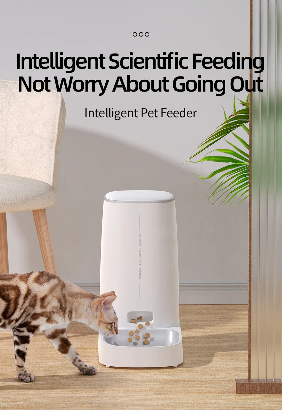 ROJECO Automatic Cat Feeder Pet Smart WiFi Cat Food Kibble Dispenser Remote Control Auto Feeder For Cat Dog Dry Food Accessories  Rojeco rojeco-automatic-cat-feeder-pet-smart-wifi-cat-food-kibble-dispenser-remote-control-auto-feeder-for-cat-dog-dry-food-accessories