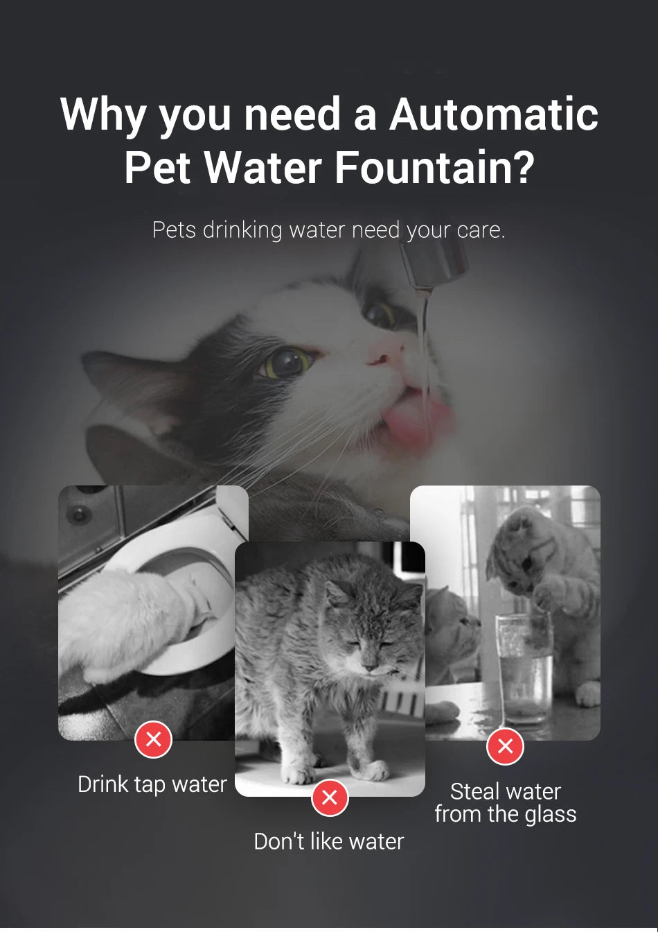 ROJECO Automatic Cat Water Fountain Smart Pet Water Dispenser with Pump for Dog Rechargeable Drinking Filter Cat Drinking Supply  Rojeco rojeco-automatic-cat-water-fountain-smart-pet-water-dispenser-with-pump-for-dog-rechargeable-drinking-filter-cat-drinking-supply